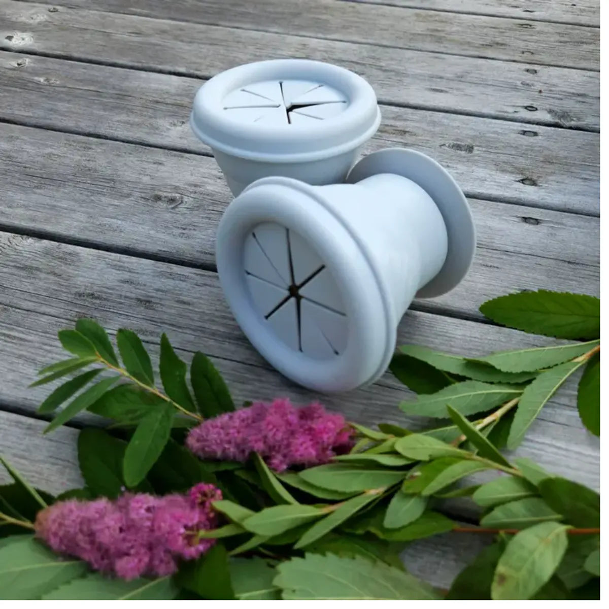 Snackpot - Summerville Organic