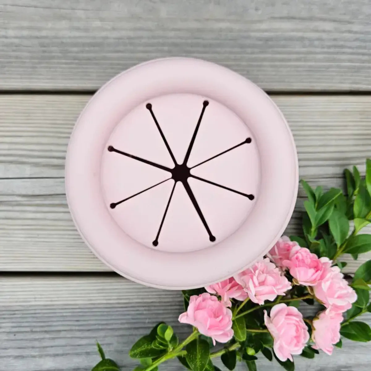 Snackpot - Summerville Organic